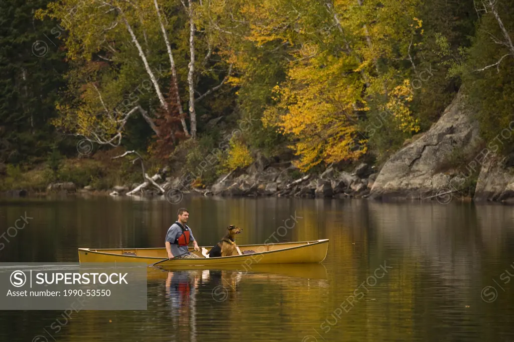 Young man canoeing with dog on Oxtongue Lake in autumn, Mukoka, Ontario, Canada.