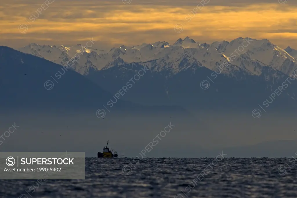 Olympic Mountains at sunset, Victoria, British Columbia, Canada