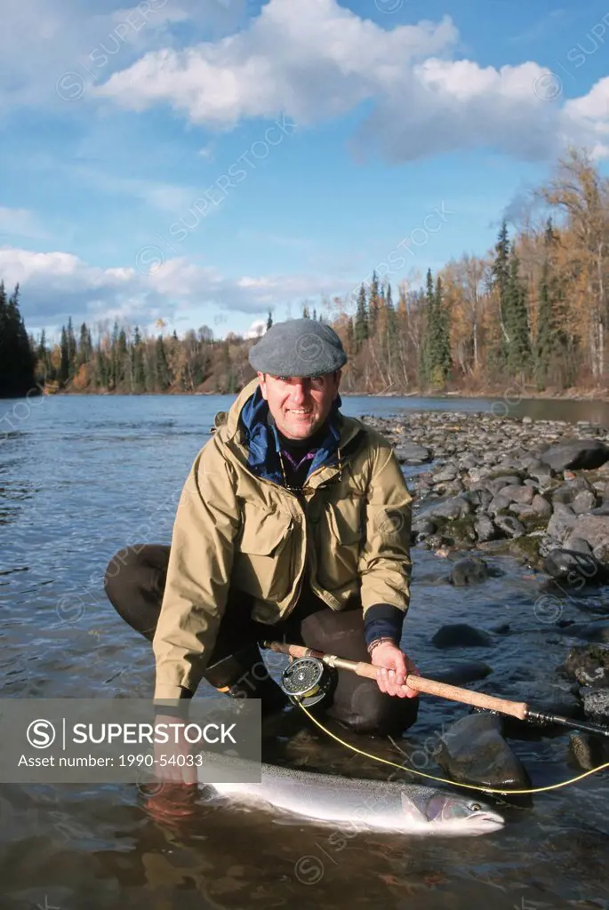 Angler with steelhead, Bulkley river, British Columbia, Canada.