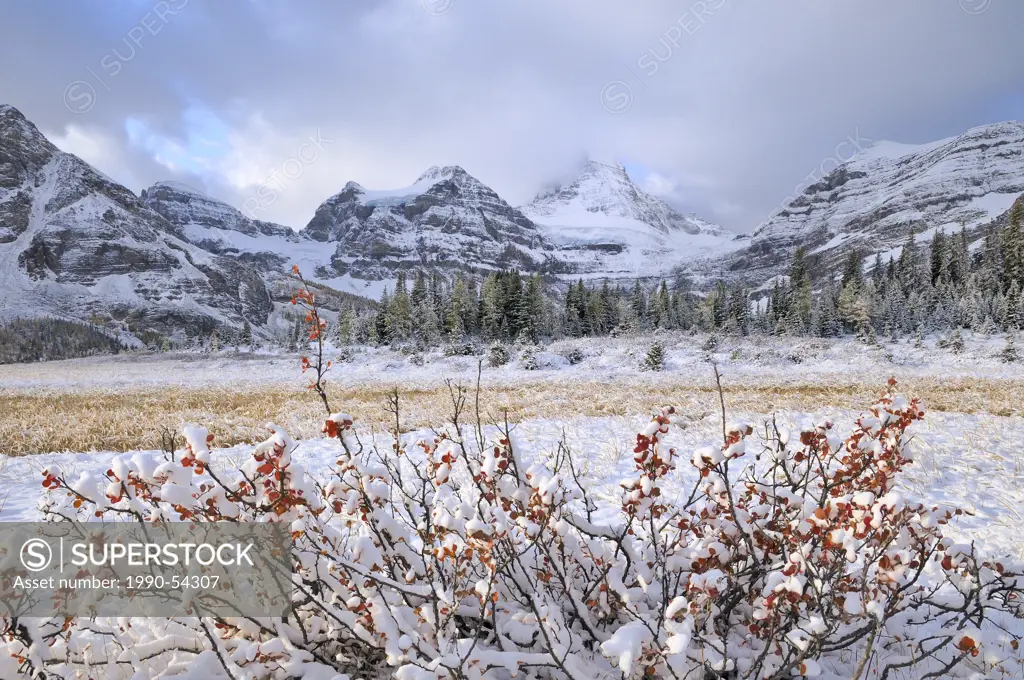 Mount Assiniboine Provincial Park in winter, Rocky Mountains, British Columbia, Canada