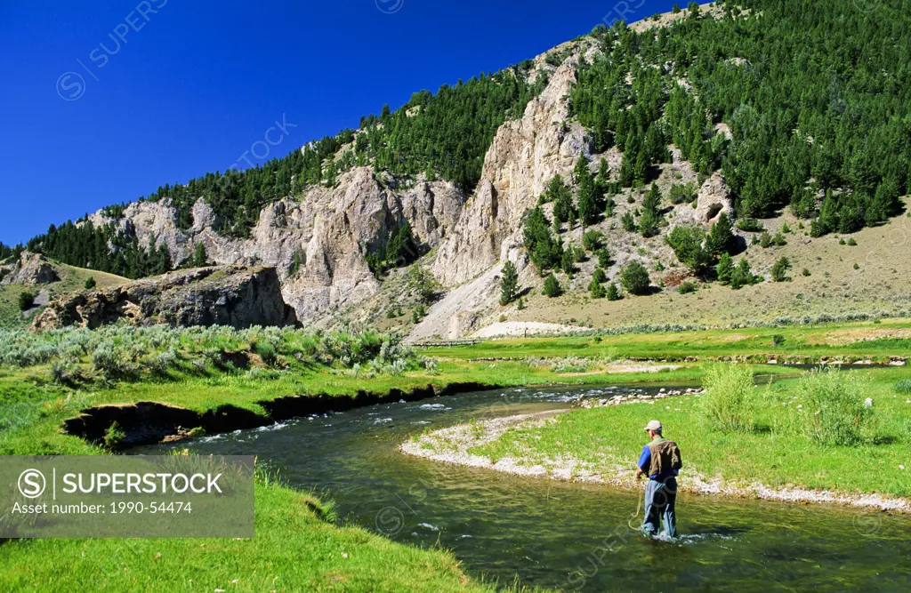 Man fly fishing, Sheep Creek, Montana, United States of America