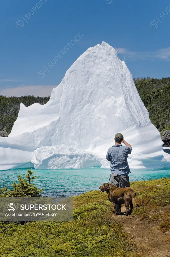 Man with dog photographs iceberg floating in Trinity Bay off the Bonavista Peninsula of eastern Newfoundland, Newfoundland and Labrador, Canada. No re...