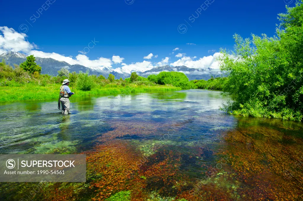 Man fly fishing, Spring Creek, South Island, New Zealand