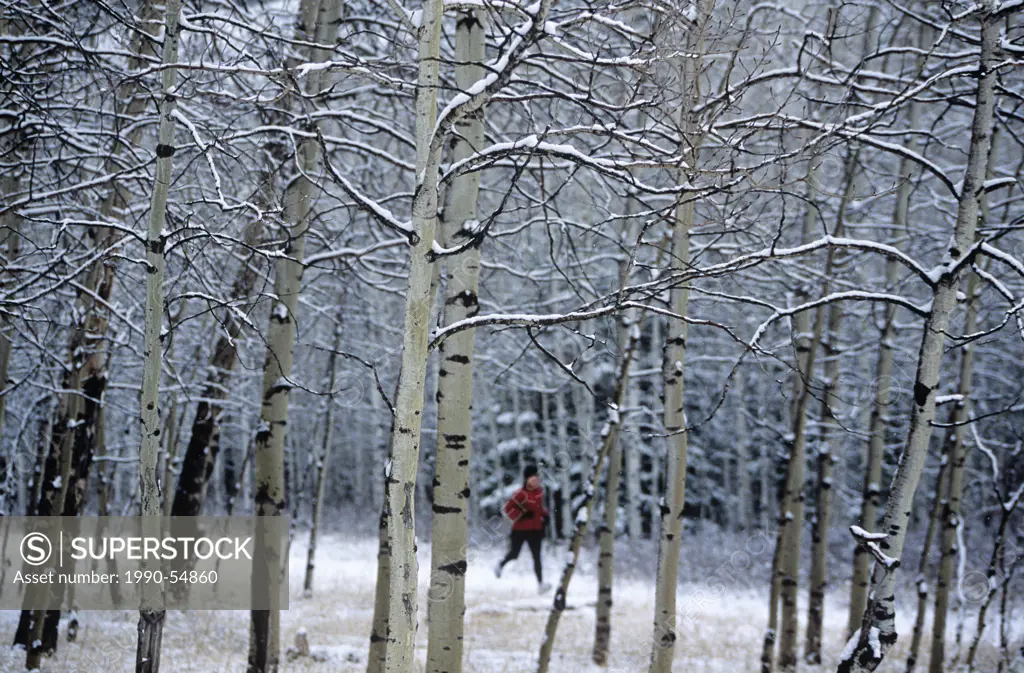 Woman running in winter, Canmore, Alberta, Canada.
