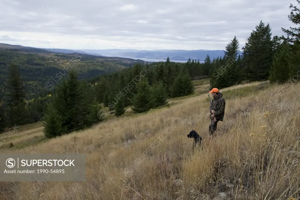 Man and dog hunting together in British Columbia, Canada