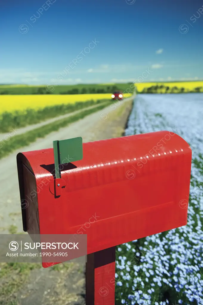 Mailbox along country road with flax and canola fields in the background near Somerset, Manitoba, Canada