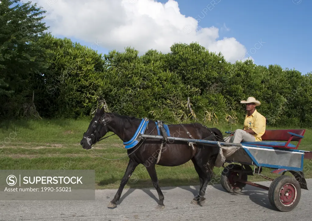 Horse powered cart in rural area near Holguin, Cuba