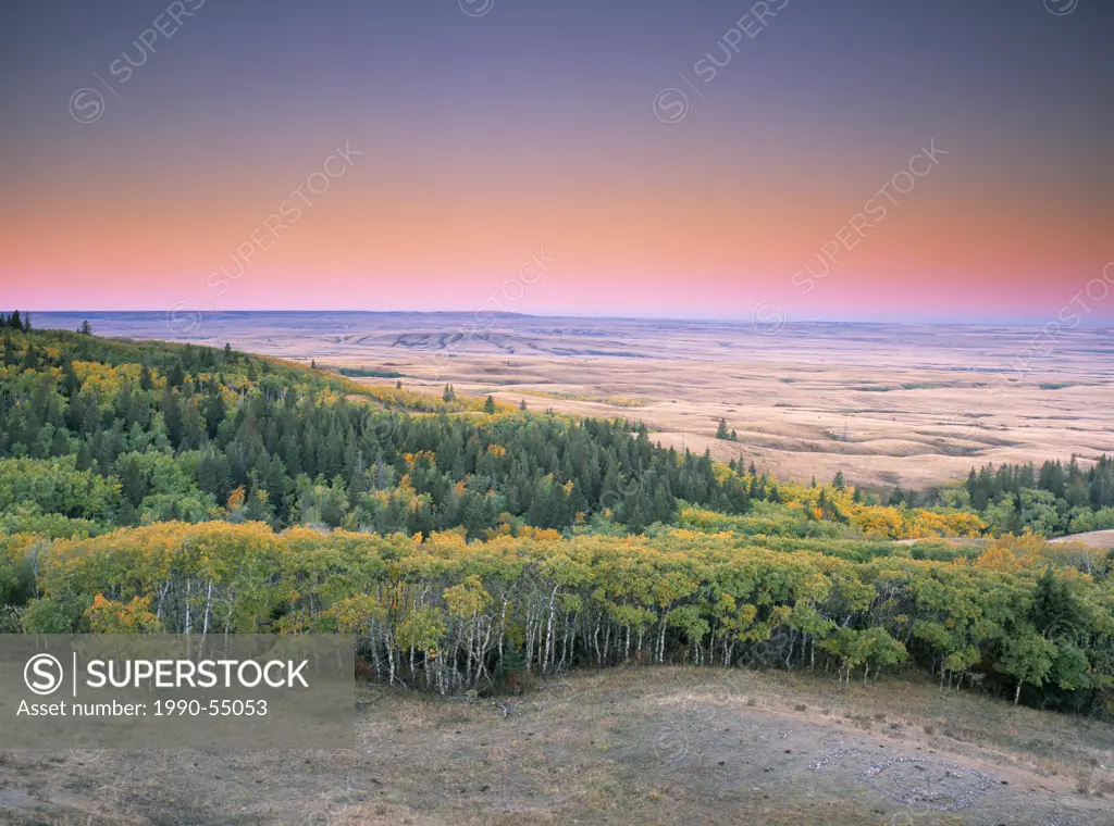 Cypress Hills Interprovincial Park, Saskatchewan, Canada.