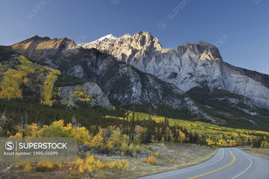 Fall colours along Highway 11 and Mount Abraham, Kootenay Plains, Alberta, Canada