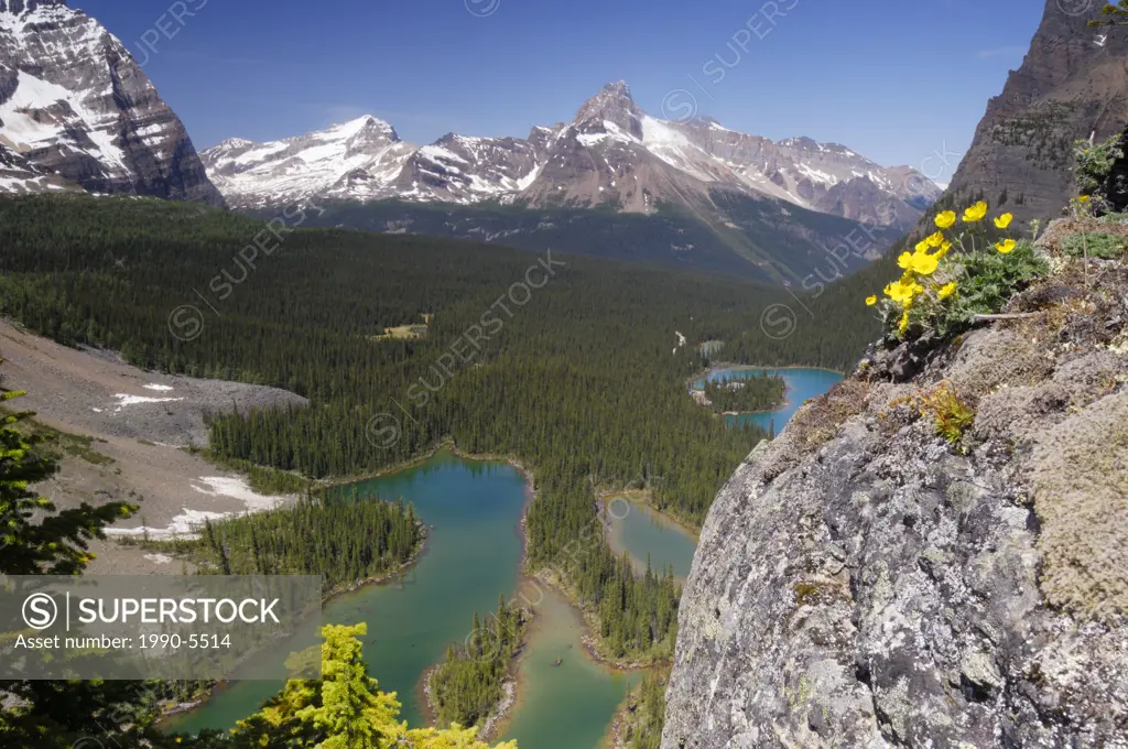 View of Mary Lake and mountain peaks surrounding Lake O´Hara area of Yoho National Park, British Columbia, Canada