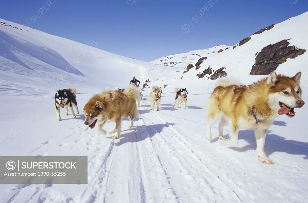 Dogsled team crossing Meta Incognita Penninsula, Baffin Island, Nunavut, Canada.