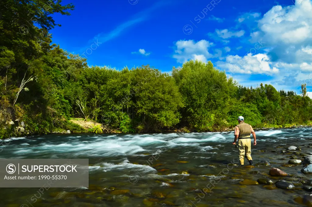 Man fly fishing, Tongariro River, North Island New Zealand