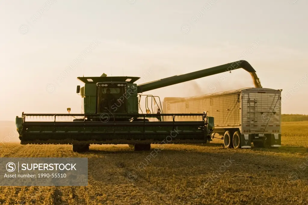 A combine harvester unloads soybeans into a farm truck during the harvest near Winnipeg, Manitoba, Canada