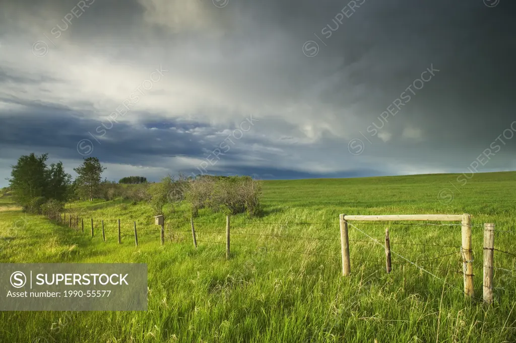 Storm clouds and pasture near Cochrane, Alberta, Canada