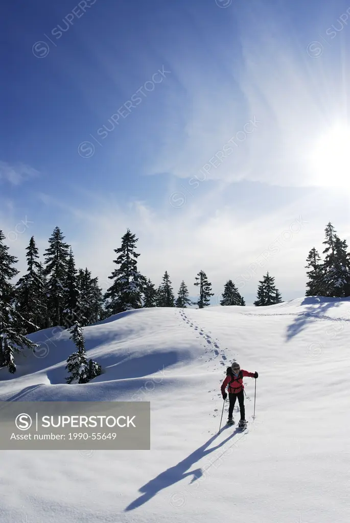 Snowshoeing on Hollyburn Mountain, Cypress Provincial Park, West Vancouver, British Columbia, Canada.