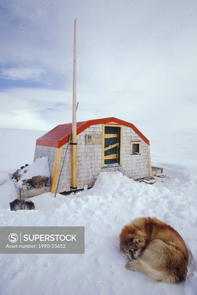 Sled dogs rest at emergency shelter during dogsled crossing of Meta Incognita Penninsula in early May, Baffin Island, Nunavut, Canada.