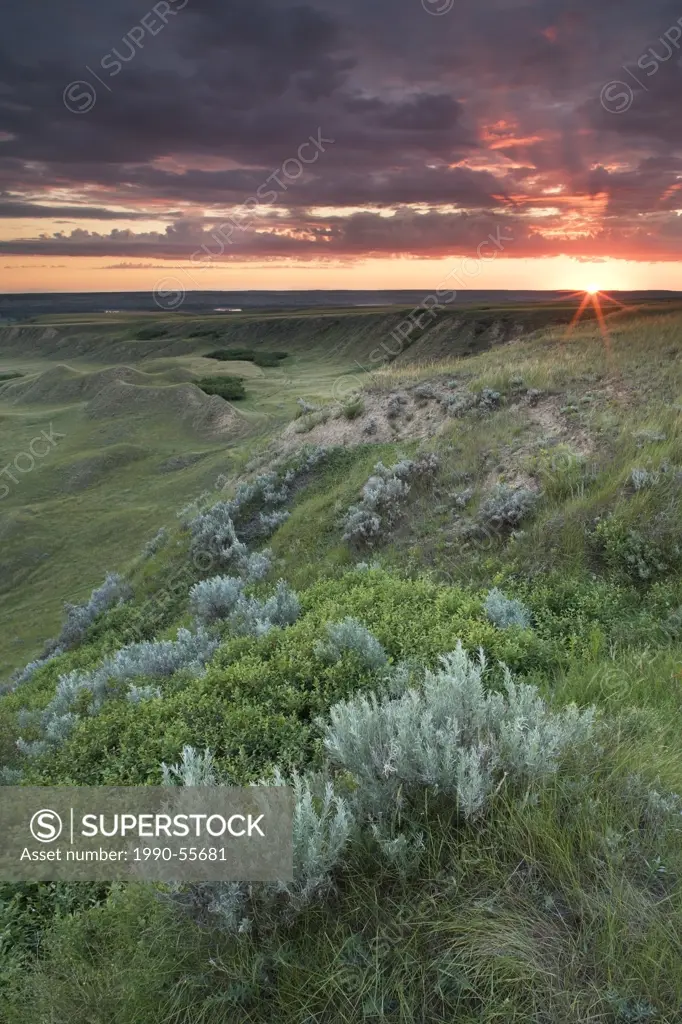 Sunrise at Checkerboard Hill near Leader, Saskatchewan, Canada