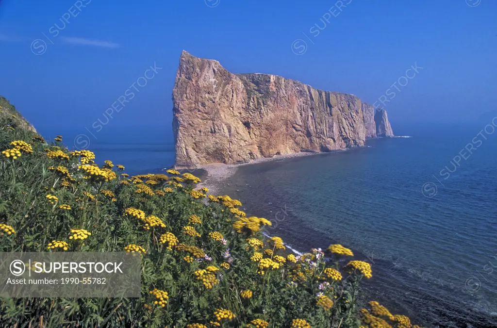 Perce Rock, composed of limestone, rises majestically from the Gulf of St. Lawrence at the tip of the Gaspe Peninsula near the town of Perce, Quebec, ...
