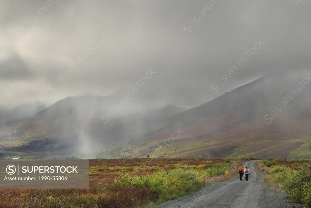 Hikers on foggy stretch of road, Tombstone Territorial Park, Yukon Territory, Canada