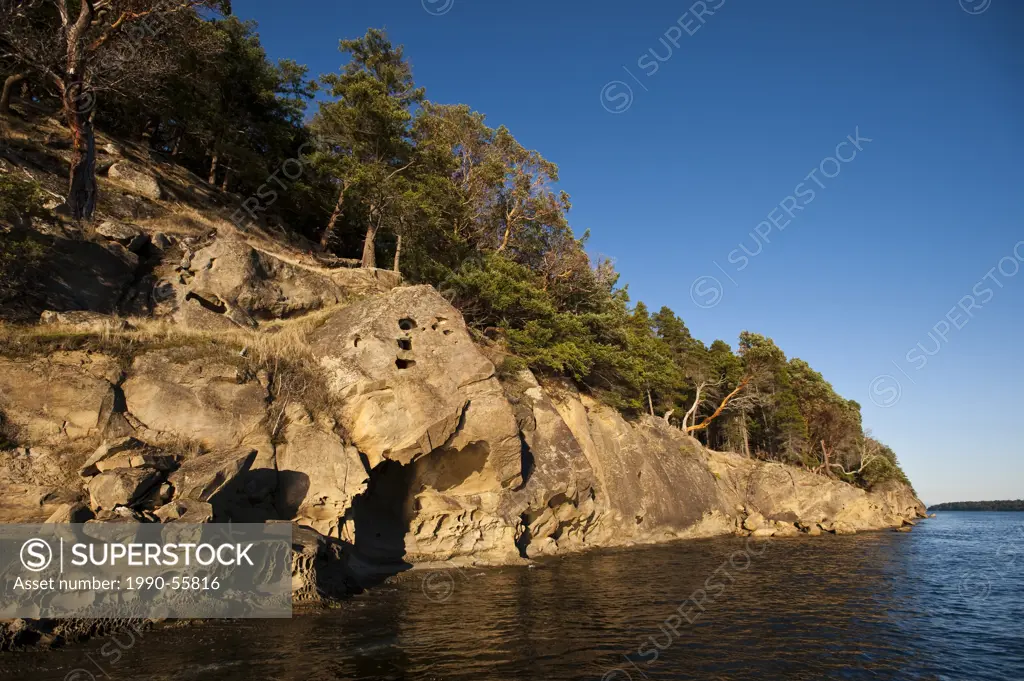 Sculpted sandstone on the shores of Tumbo Island, Gulf Islands National Park Reserve, British Columbia, Canada