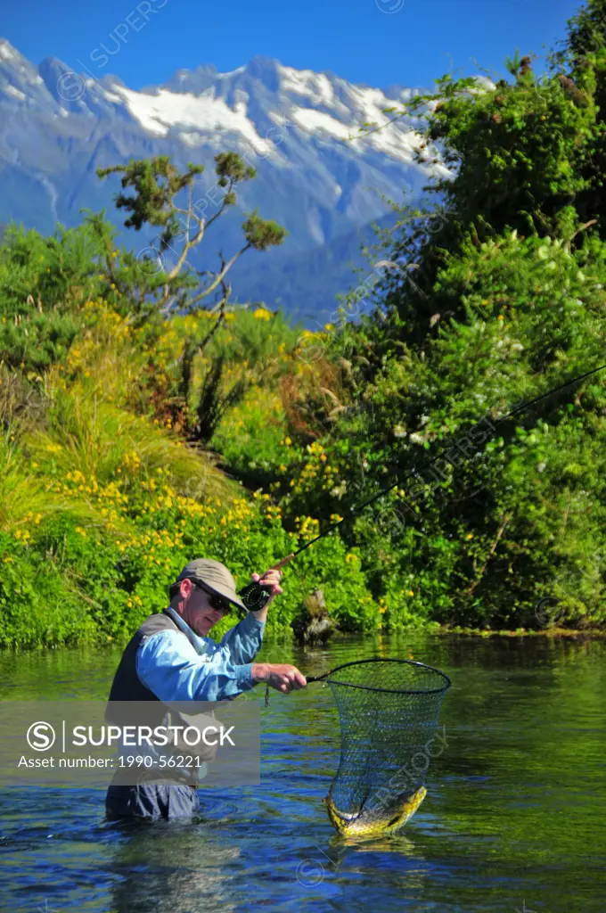 Man catching fish, Spring Creek, South Island, New Zealand
