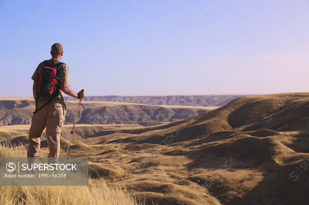 Hiker overlooking the coulees and badlands of the South Saskatchewan River this mixed grass prairie habitat is endangered in Alberta and Saskatchewan,...