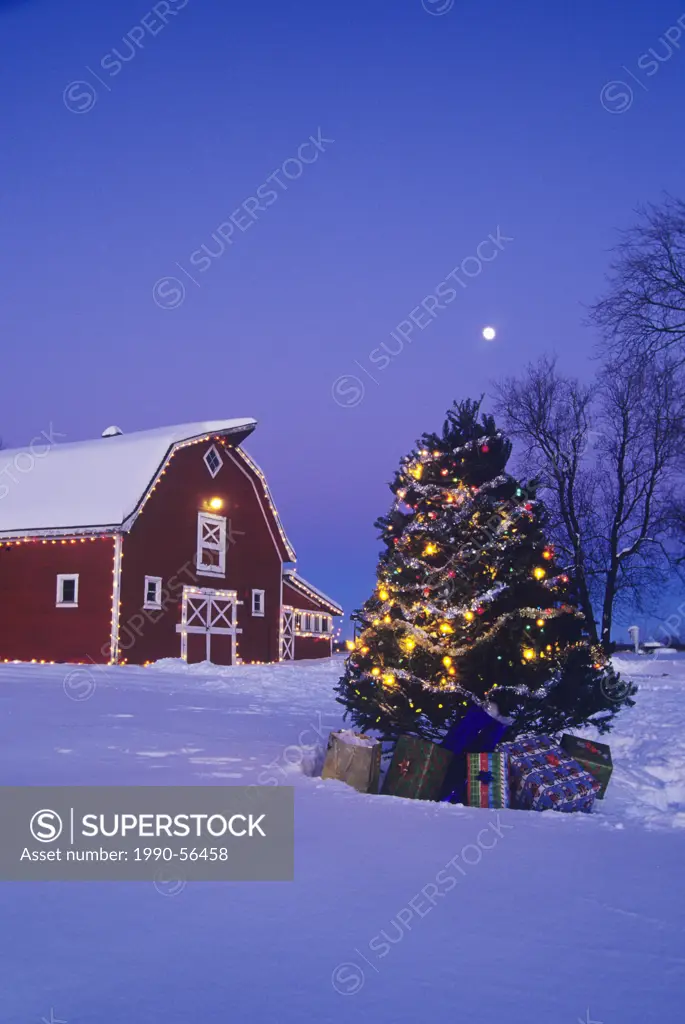 Red barn at Christmas, Oakbank, Manitoba, Canada.
