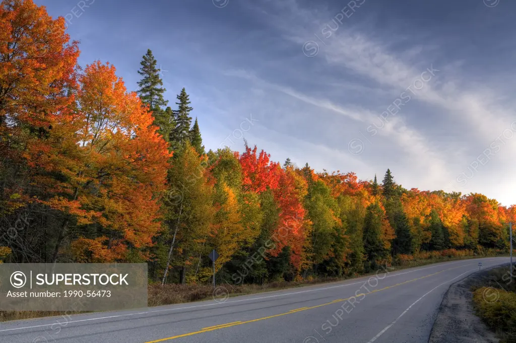 Highway 60 along Algonquin Park in fall, Ontario, Canada