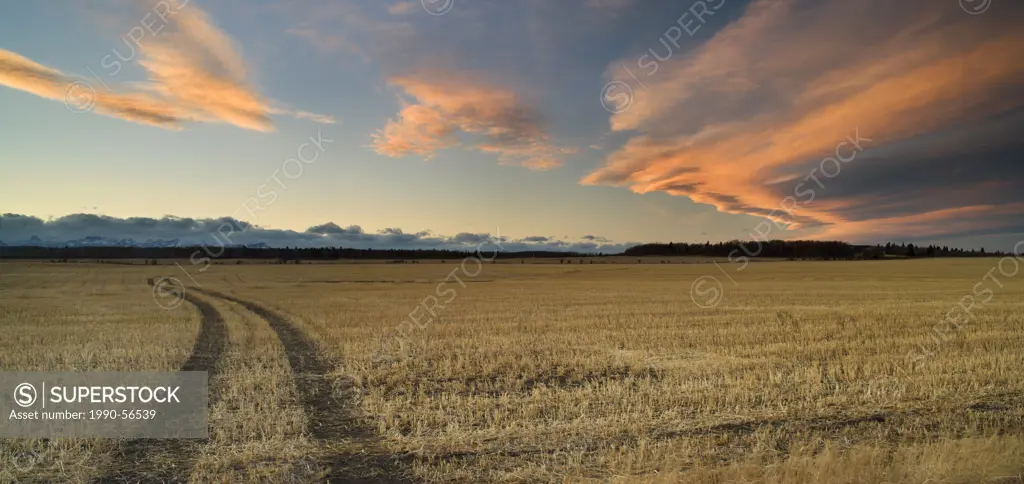 Stubble field and Chinook arch clouds near Cochrane, Alberta, Canada.