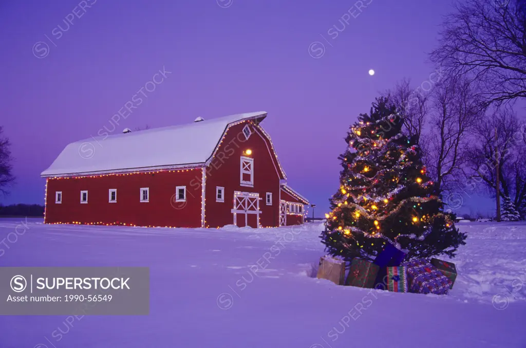 Red Barn with Christmas tree near Oakbank, Manitoba, Canada.