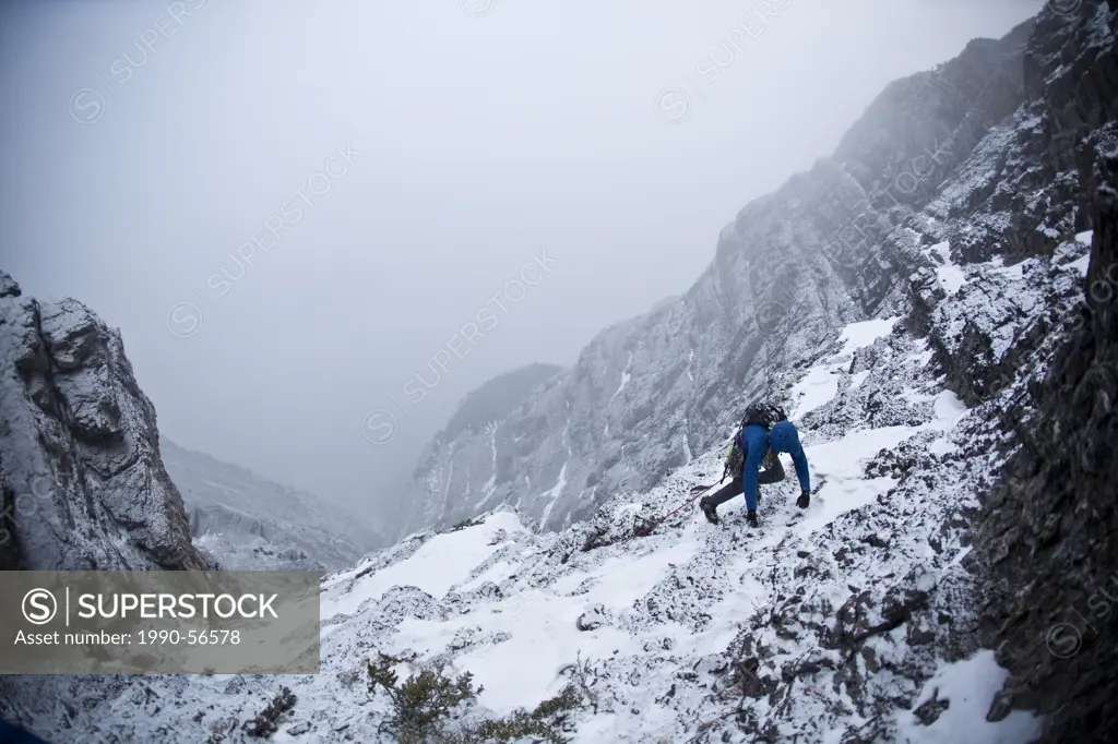 A man alpine climbing _ Coire Dubh Integrale 5.7, WI3, Canmore, Alberta, Canada