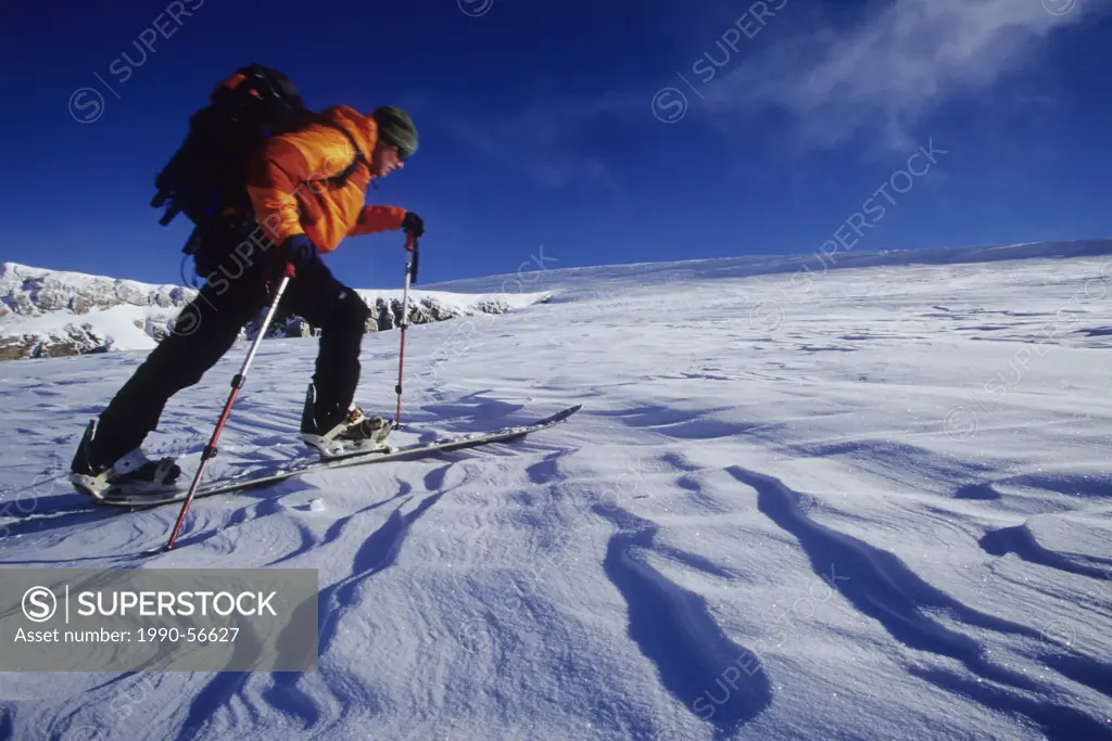 A young man skinning up Mt. Gordon on his splitboard. Wapta Icefields, Alberta, Canada