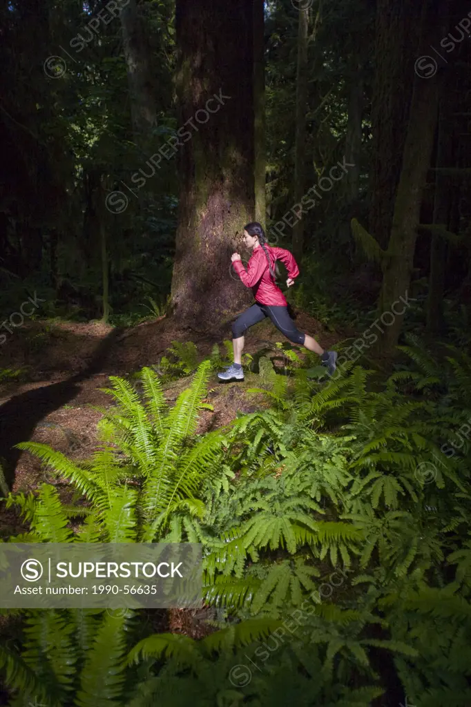 A young female trail running amongst giant cedars in Cathedral Grove Provincial Park, Vancouver Island, British Columbia, Canada