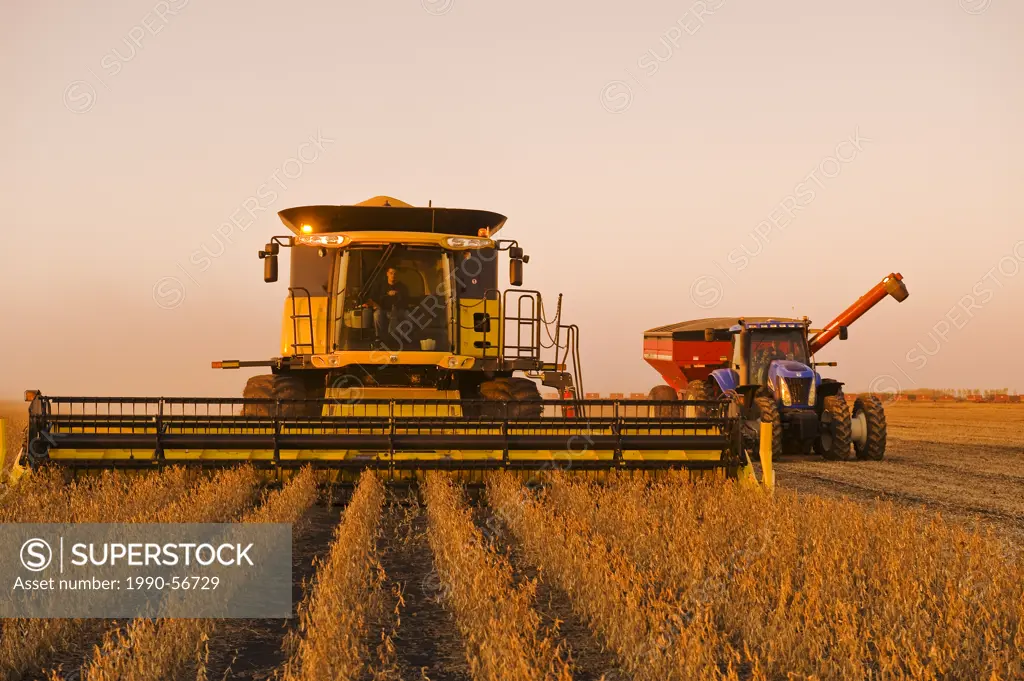 A combine and grain wagon during the soybean harvest, near Lorette, Manitoba, Canada