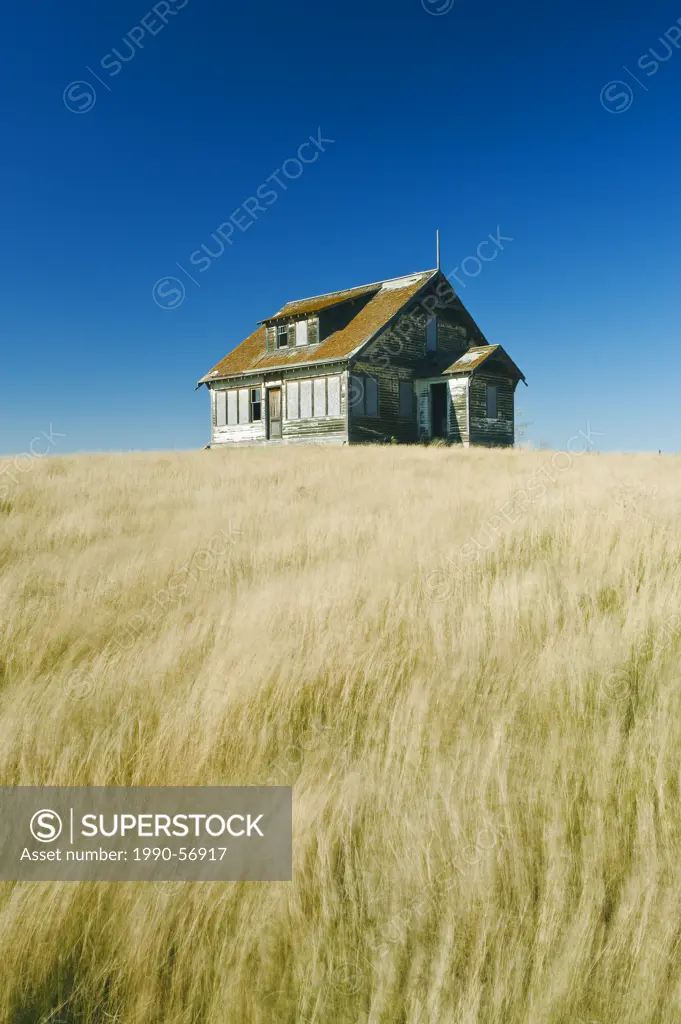 Abandoned farm house, wind_blown prairie grasses near Pangman, Saskatchewan, Canada