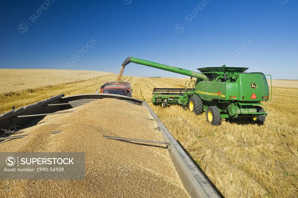 A combine unloads spring wheat in a farm truck near Pangman, Saskatchewan, Canada