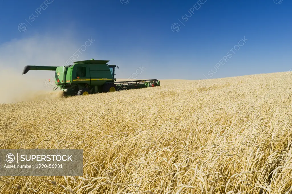 A combine harvests spring wheat near Pangman, Saskatchewan, Canada