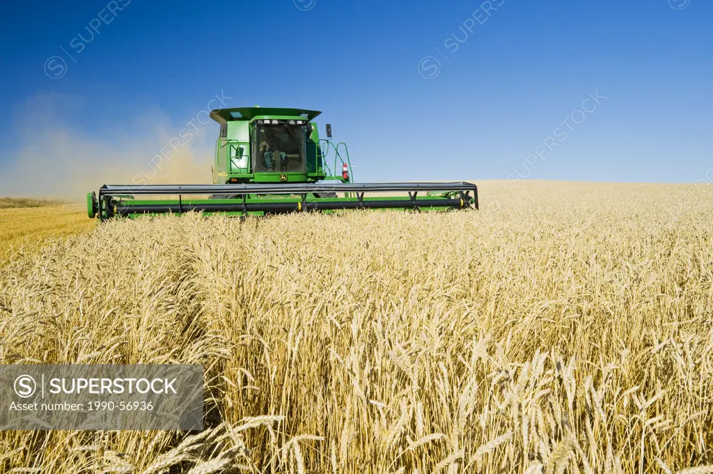 A combine harvests spring wheat near Pangman, Saskatchewan, Canada