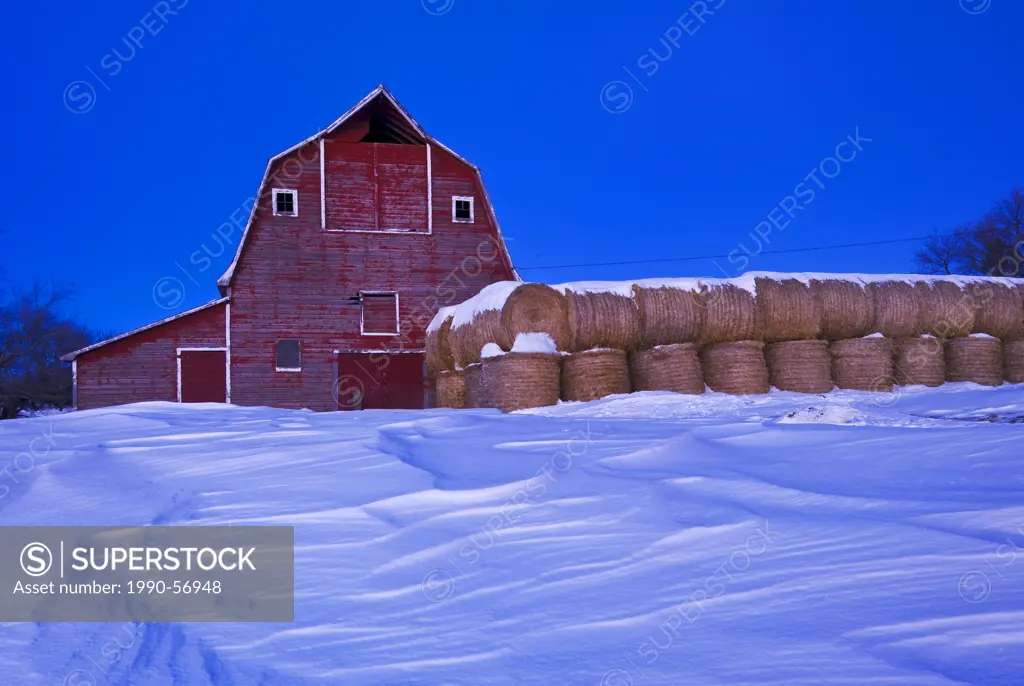 Old barn and round hay bales, near Bruxelles, Manitoba, Canada