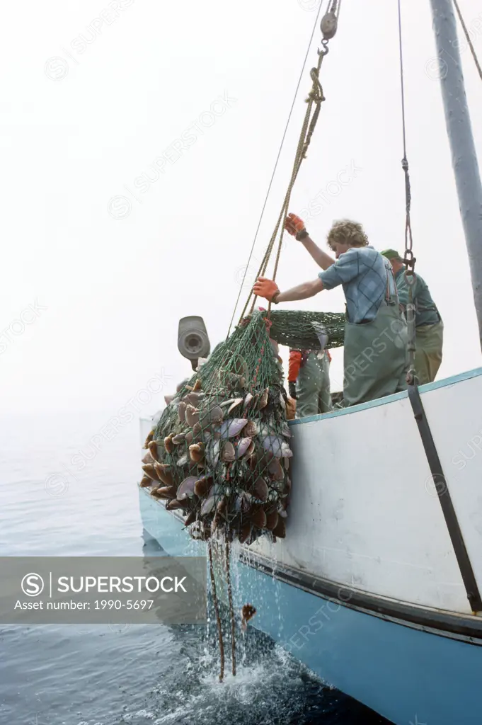 Fishermen Hauling in catch from Northumberland Strait, Prince Edward Island, Canada