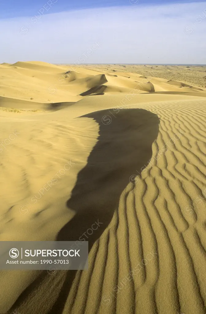 Algodones Dunes, Sonoran Desert, southeastern California, United States of America