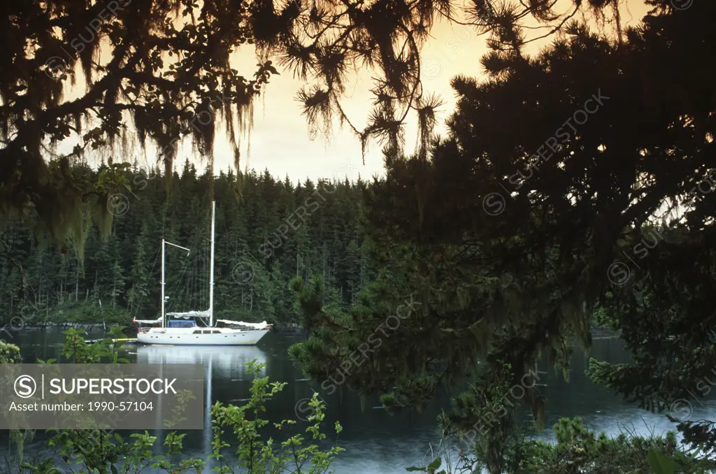 Broughton Archipelago, Pearse Islands, ecotour boat Island Roamer, Vancouver Island, British Columbia, Canada.