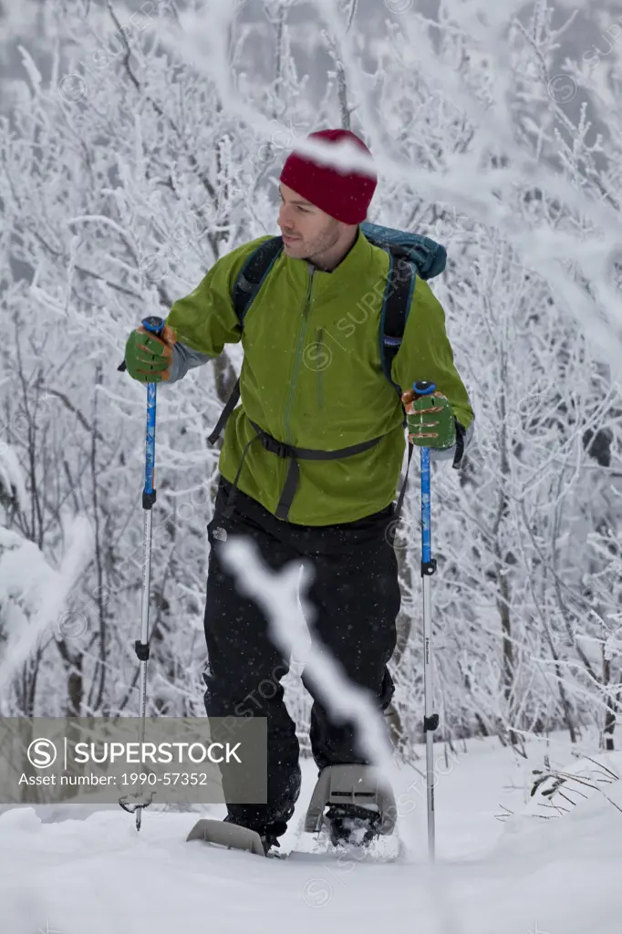 A young man snowshoeing in fresh powder in the eastern townships on Mt. Ham, Quebec, Canada