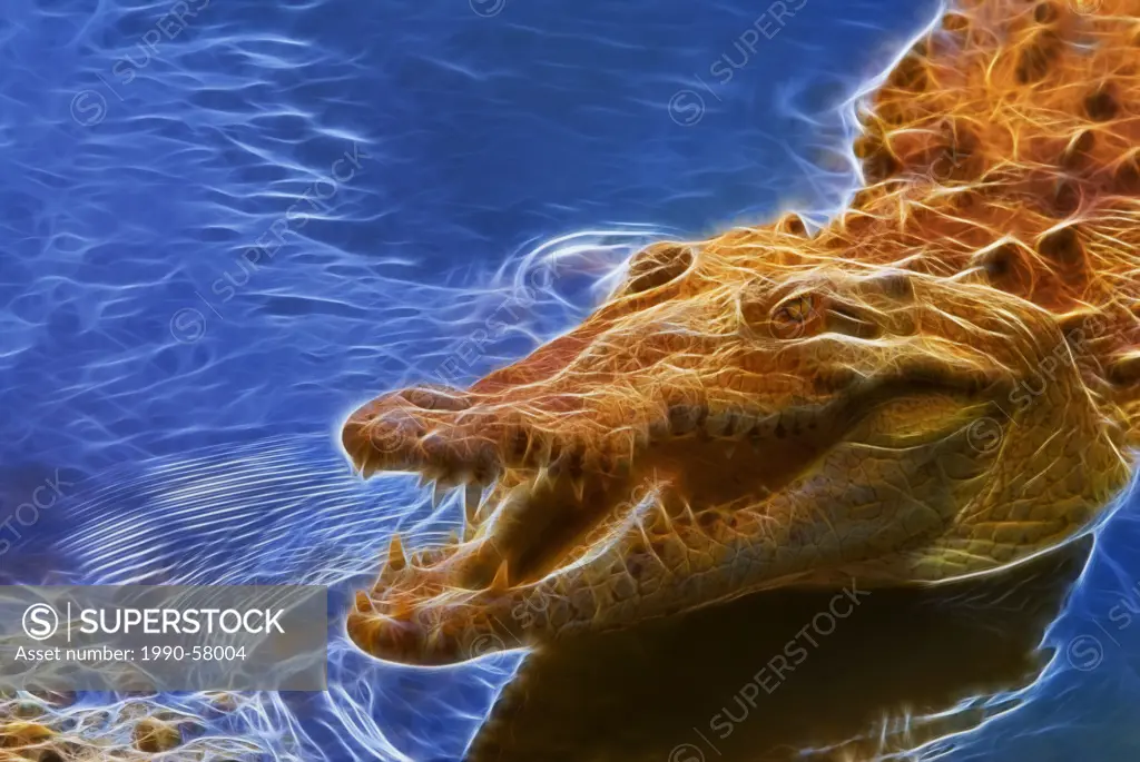 Fractalius rendering of a Cuban Crocodile Crocodylus rhombifer