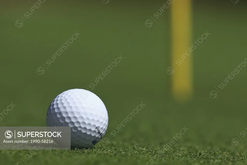Golf ball on putting green, Manitoba, Canada.