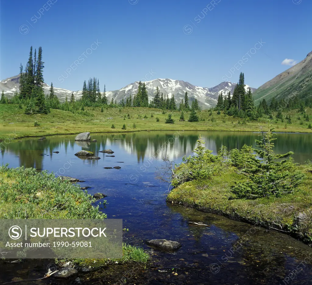 subalpine landscape with Englemann spruce Picea englemannii and subalpine fir Abies lasiocarpa, Blueberry Lake, adjacent to Wilmore Wilderness Provinc...