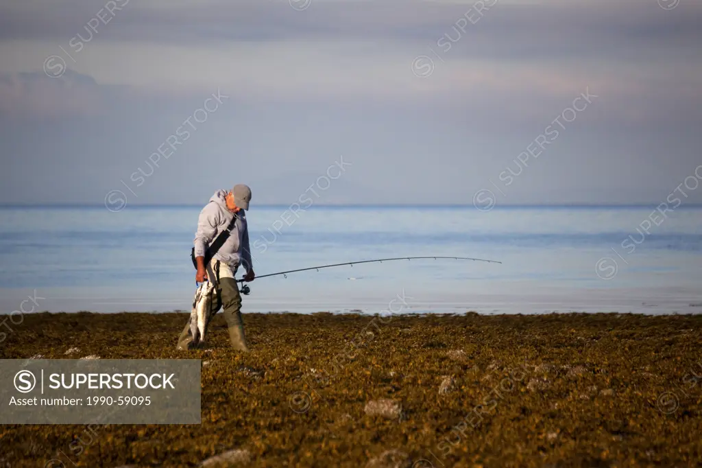 Fisherman with fresh caught Salmon, Morning Sunrise, Davis Bay, Sechelt, Strait of Georgia, Sunshine Coast, B.C., Canada