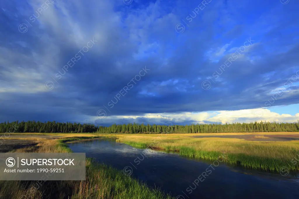 Salt Plains, Wood Buffalo National Park, Alberta, Canada