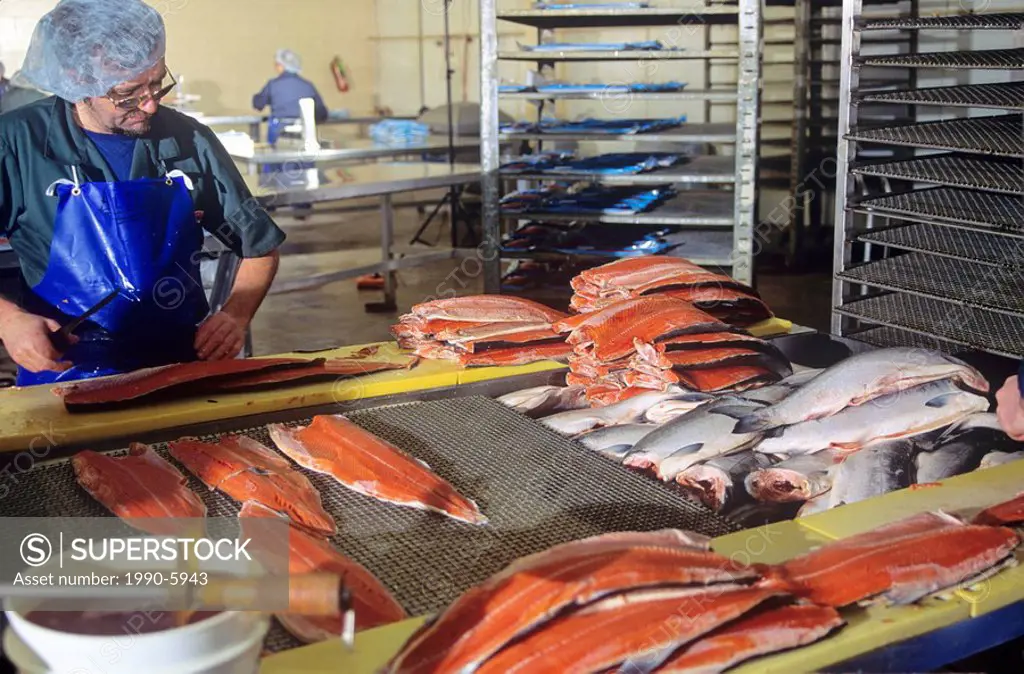 Processing Atlantic Salmon, Atlantic Fish Specialties, Prince Edward Island, Canada