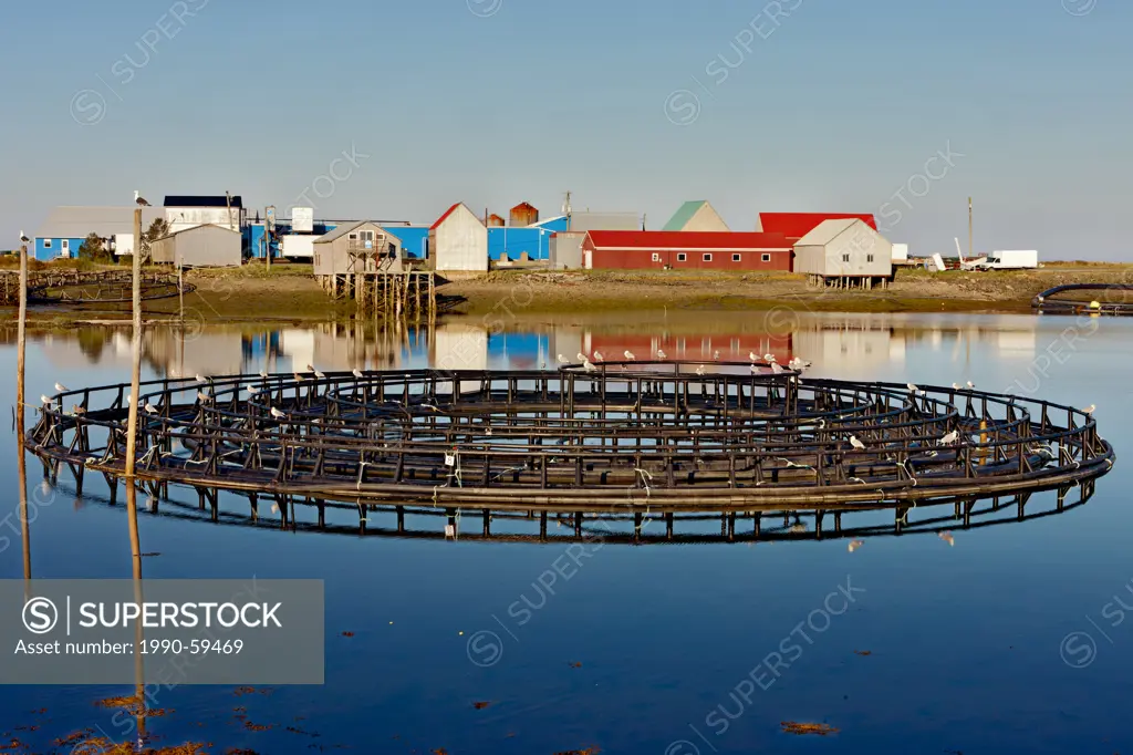 Aquaculture pens, Woodwards Cove, Grand Manan Island, Bay of Fundy, New Brunswick, Canada